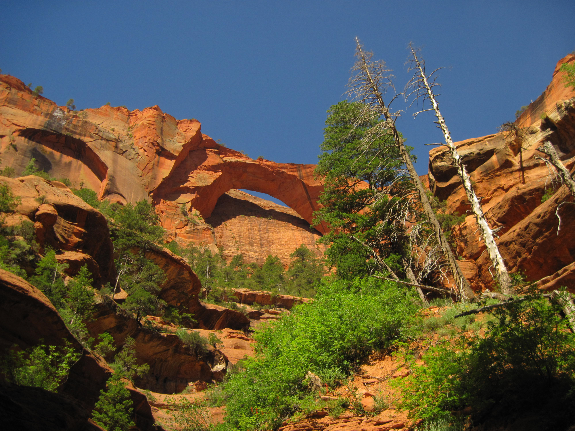 Camping near 2025 kolob canyon