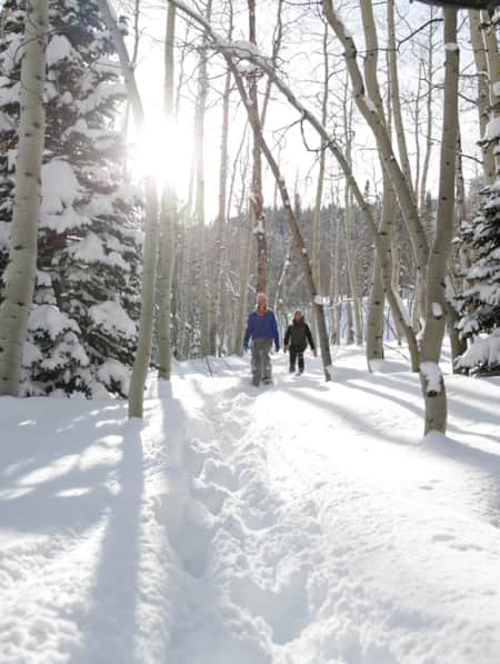 Two hikers walking along a path through the trees, with numerous tracks from other hikers visible in the snow.
