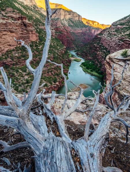 A narrow canyon with greenery on the edges, leading down to a river running through it.