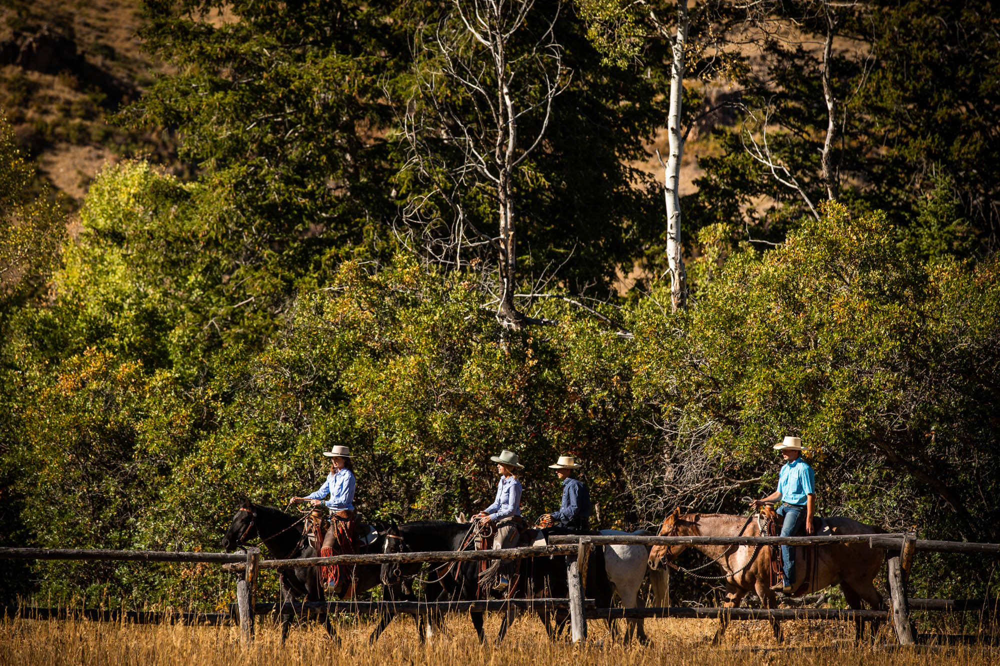 Guided horseback deals riding near me