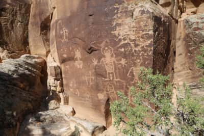 You’ll find some of the southwest’s most impressive petroglyphs at McConkie Ranch.
