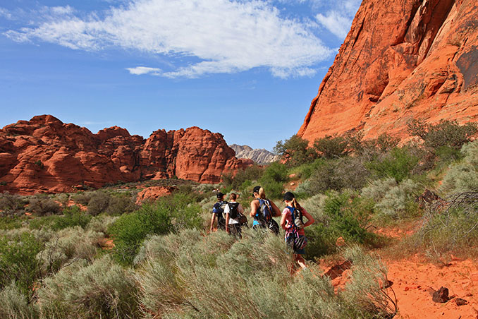 Snow Canyon Campground - Visit Snow Canyon State Park - Utah Tourism ...