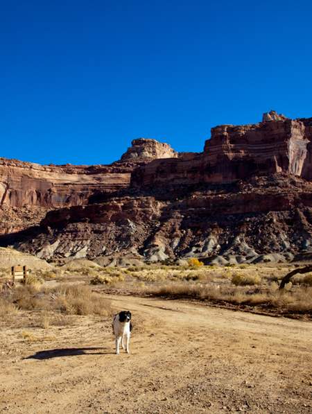 canyonlands tours moab utah