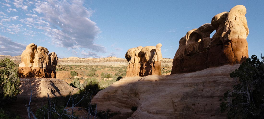 Devils garden shop grand staircase