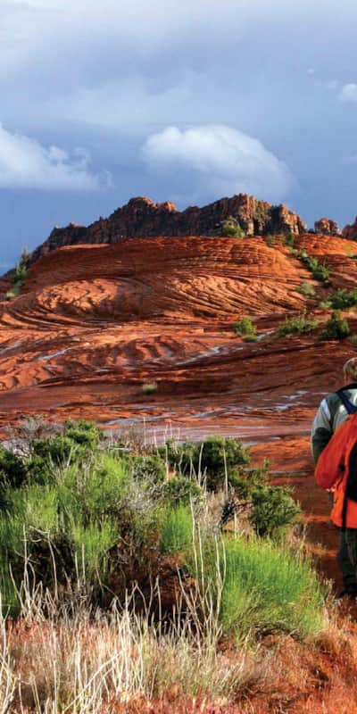 Hiking in Snow Canyon State Park