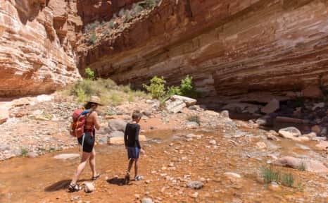 Capitol Reef National Park