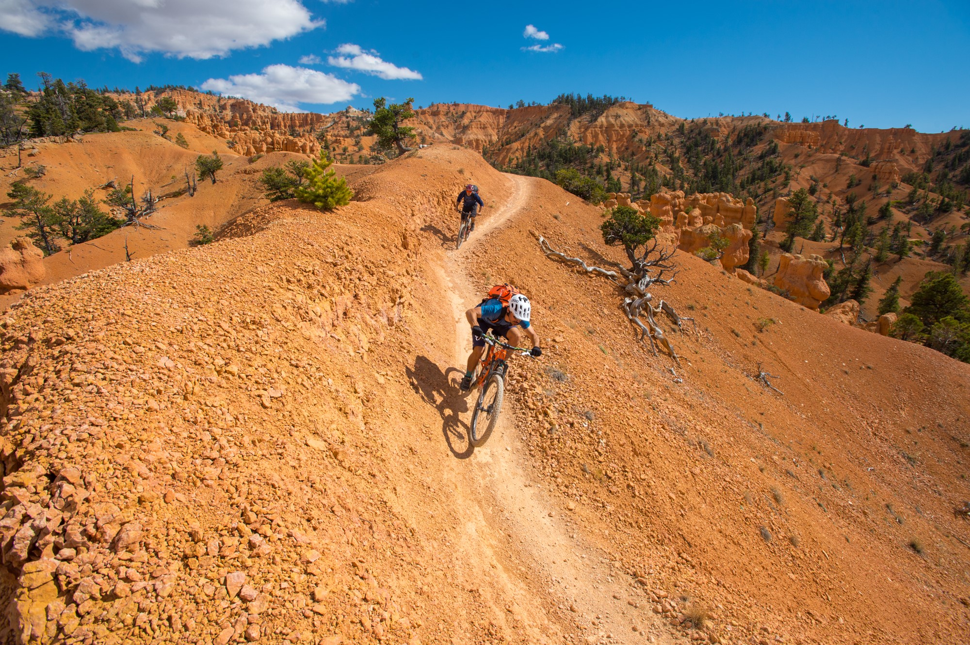 Top Seven Mountain Biking Trails in Utah  Visit Utah