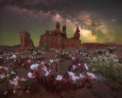 Utah is home to an incredible array of internationally-certified Dark Sky locations (pictured: Goblin Valley State Park), from remote public lands to communities that have made efforts to preserve dark skies.