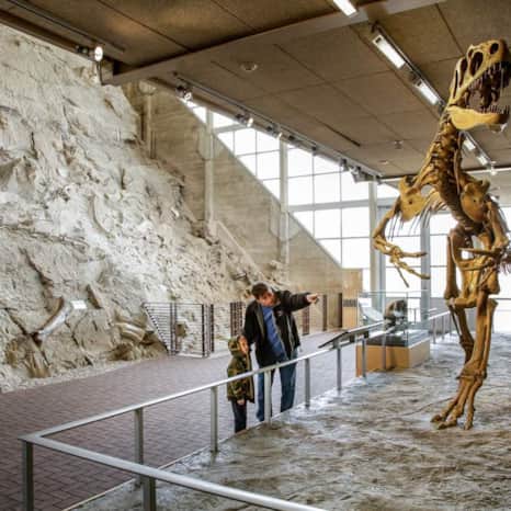 Dinosaur National Monument