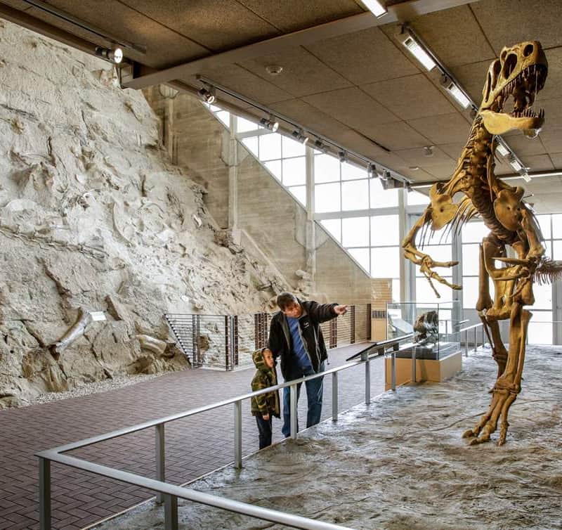 To see dino bones up close, explore the Quarry Exhibit Hall inside Dinosaur National Monument.