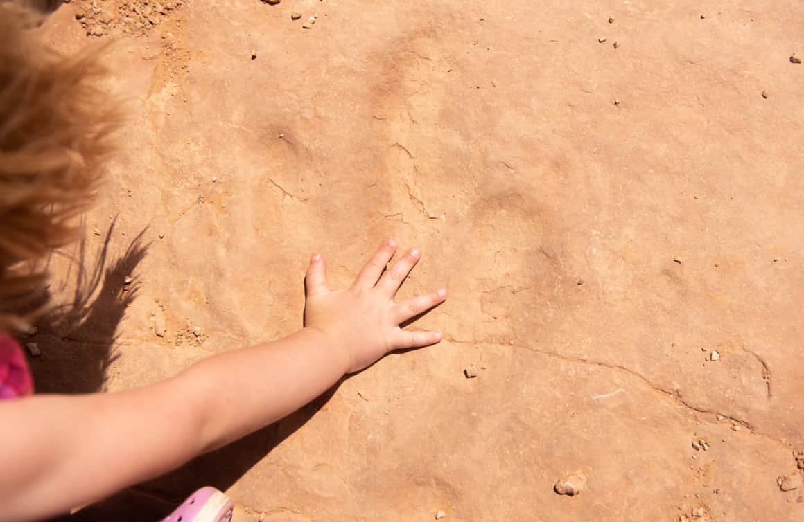 Red Fleet State Park