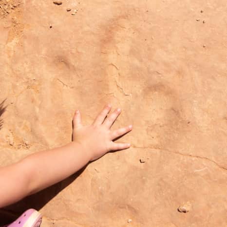 Red Fleet's Dinosaur Track trail leads to dinosaur tracks believed to be more than 200 million years old.