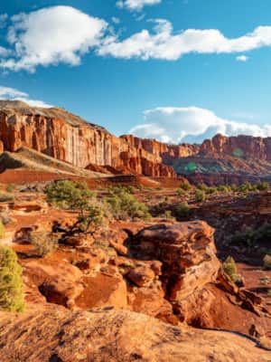 Capitol-Reef-National-Park_More-Than-Just-Parks_Will-Pattiz_2020_DSC07092