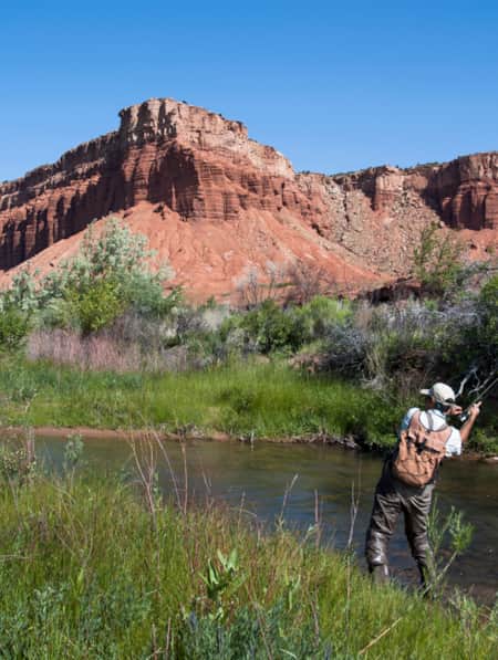 Capitol Reef National Park