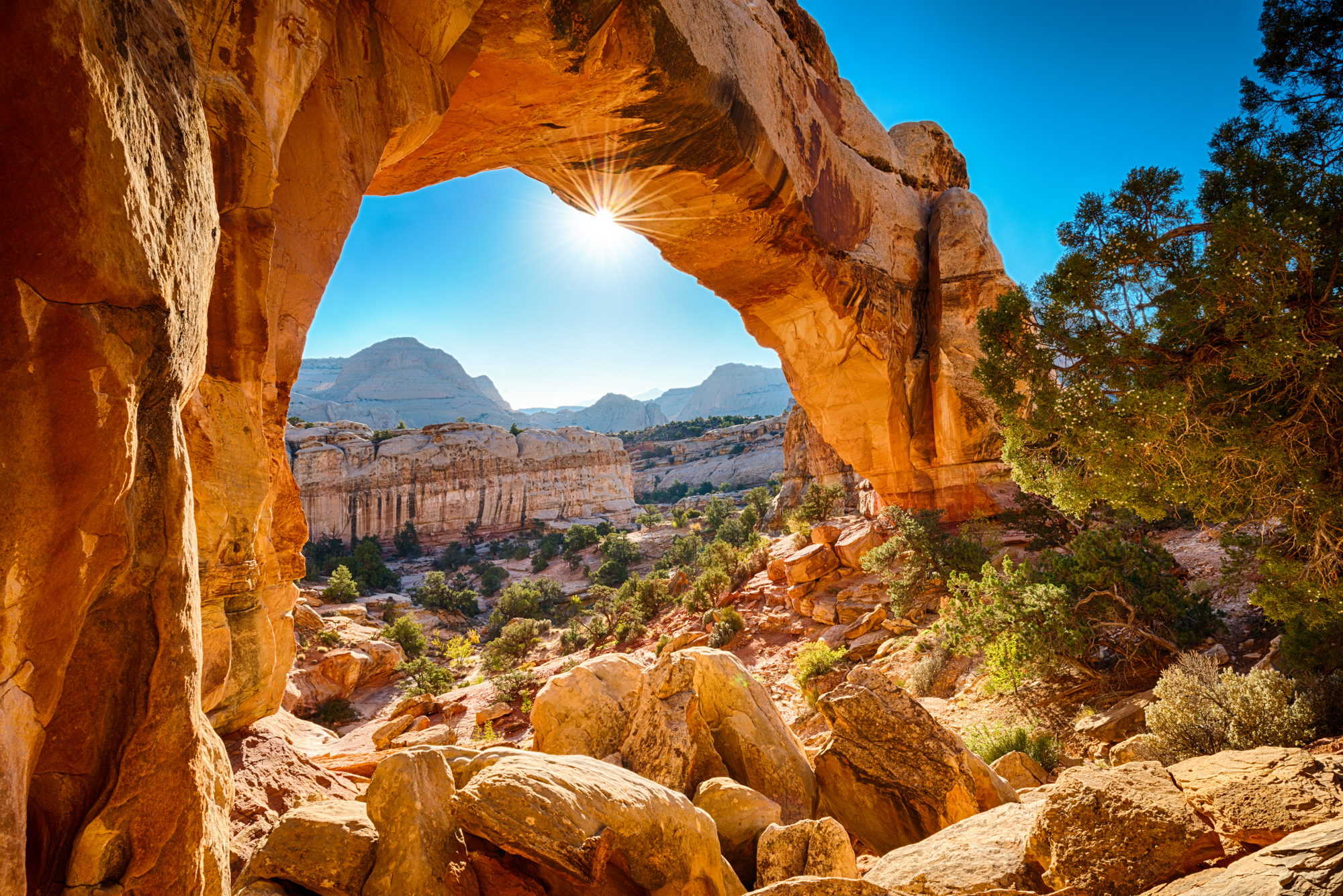 Capitol reef 2024 national park backpacking