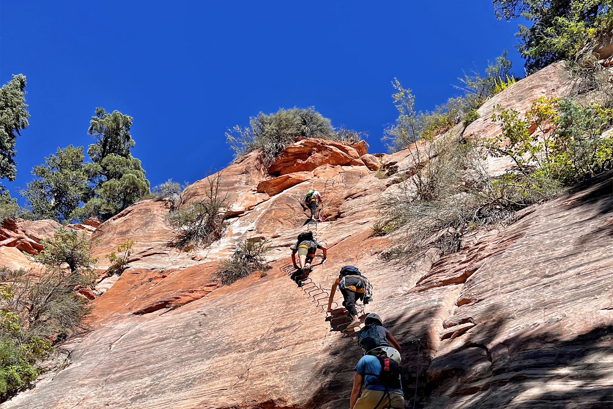 Kolob Canyons in Zion National Park Visit Utah