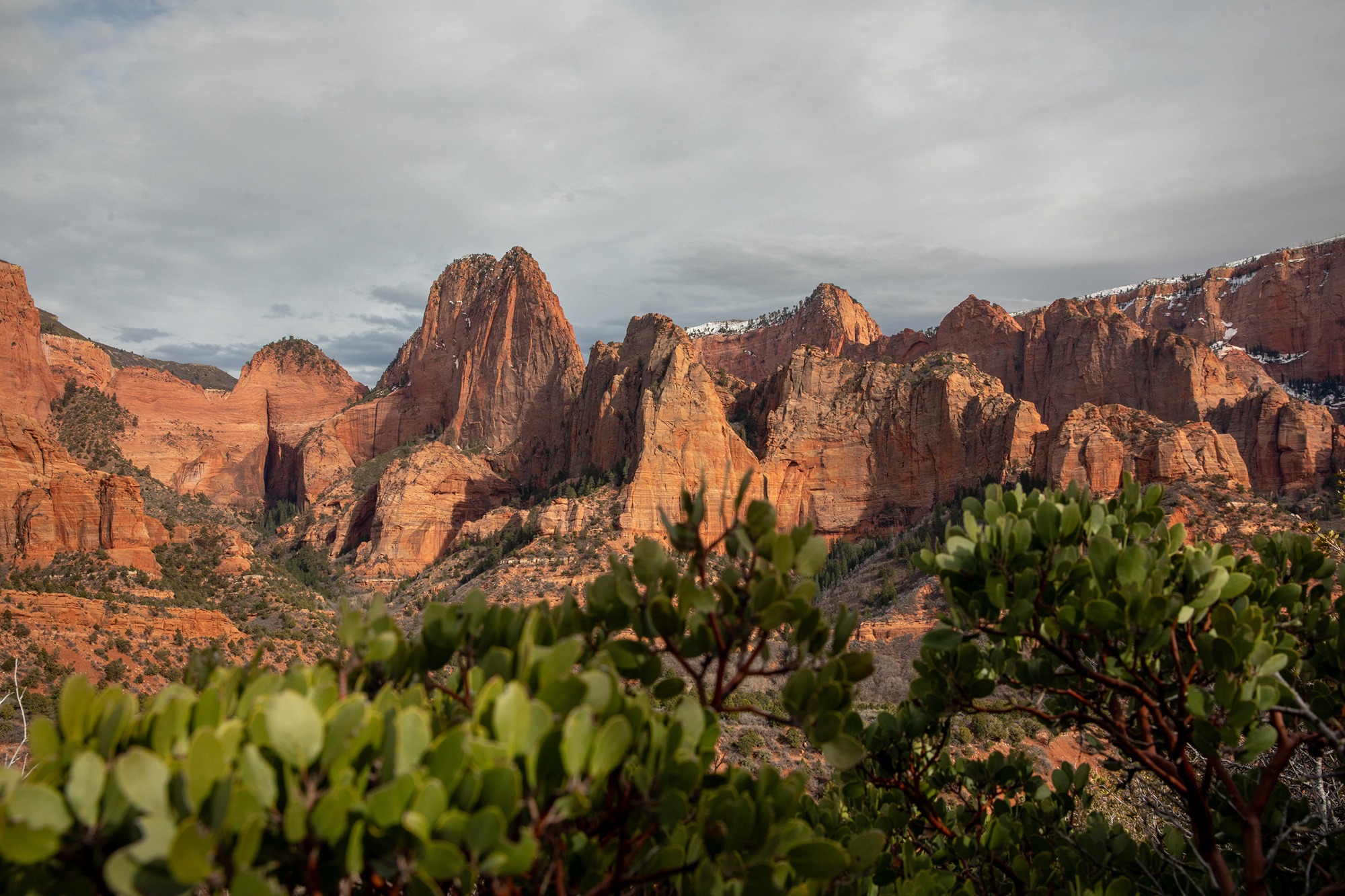 Camping near kolob canyon hotsell