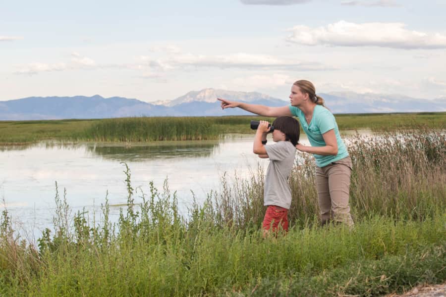 At the Bear River Migratory Bird refuge, walkways are available to visitors who wish to witness the majestically diverse flocks traveling through the area.