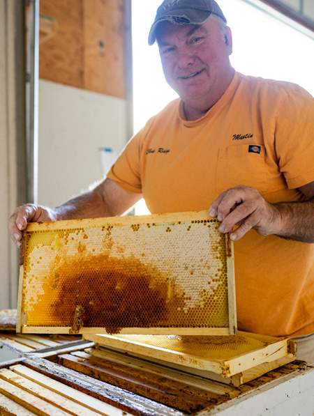 Salt Lake wants to keep Bees in place as city seeks major