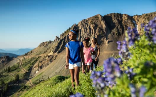 Hiking at Snowbird
