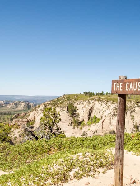 The Causeway Overlook, Abajo Mountains