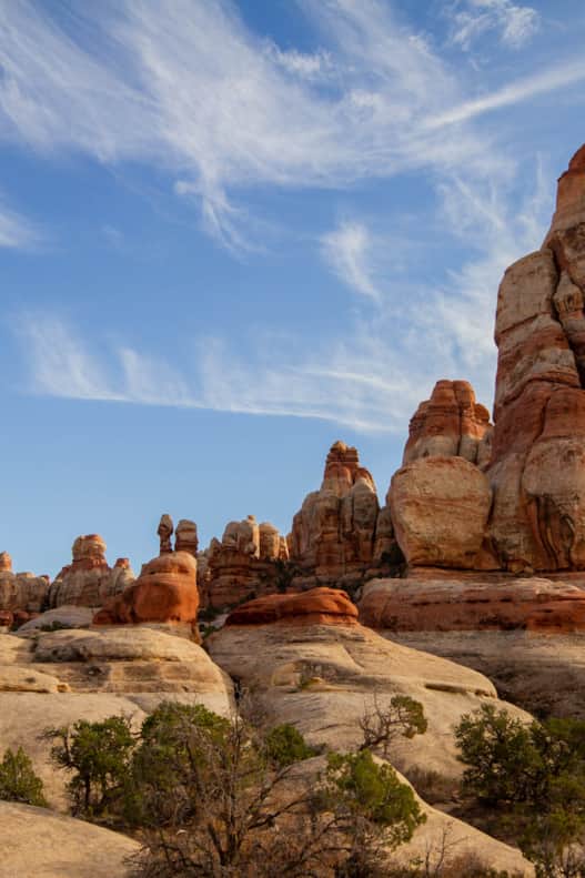 Needles District in Canyonlands National Park