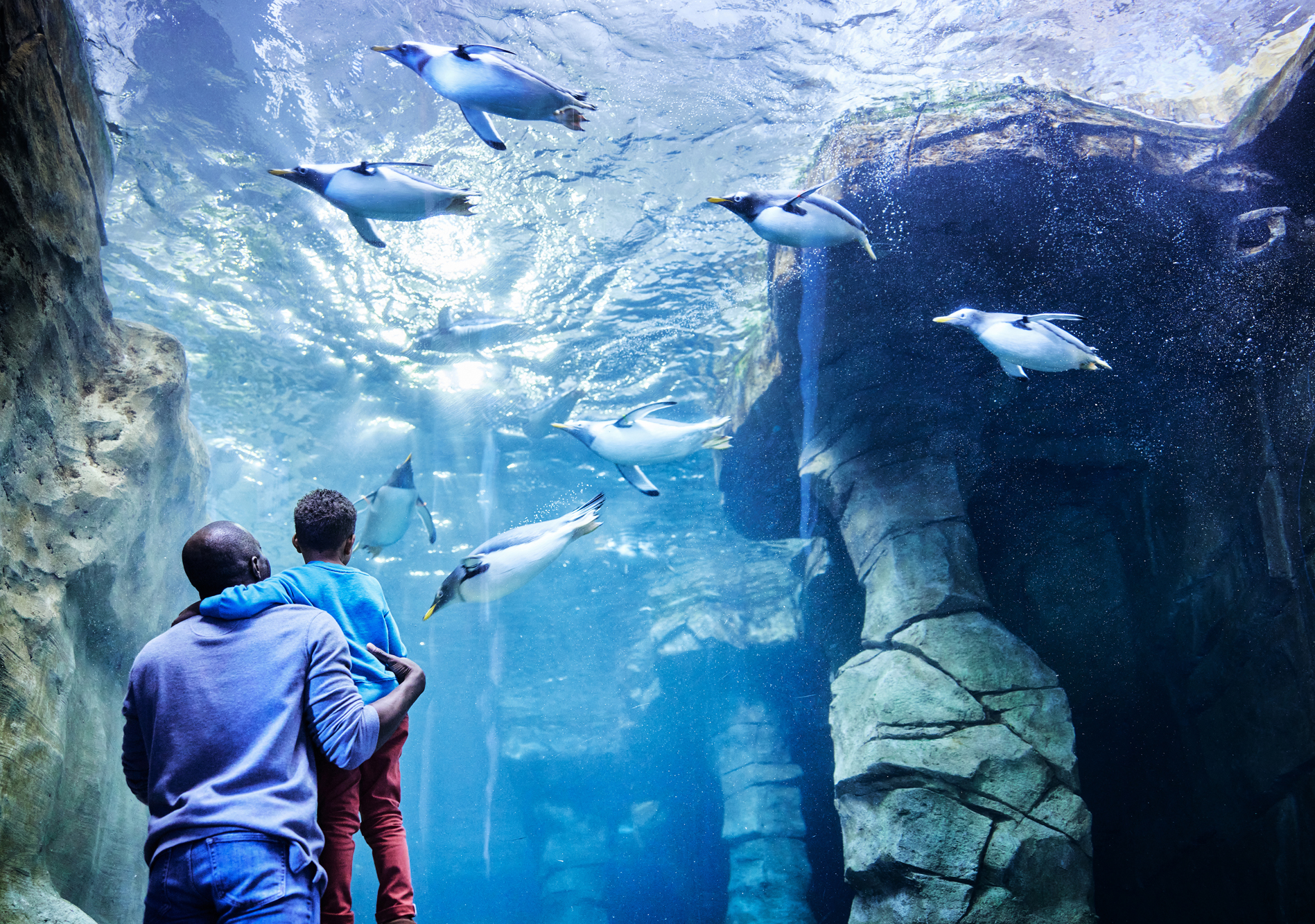 Loveland Living Planet Aquarium In Utah | Visit Utah