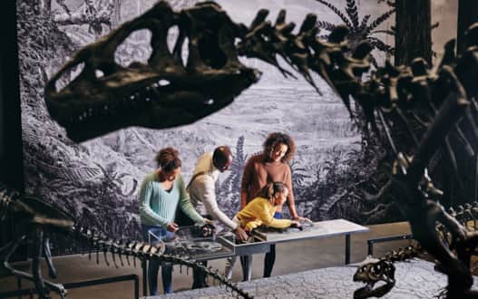 Natural History Museum of Utah