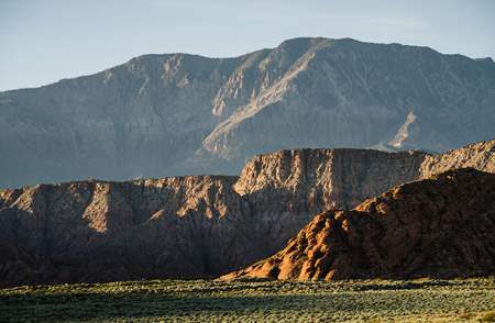 Red Cliffs Desert Reserve » Greater Roadrunner (Geococcyx