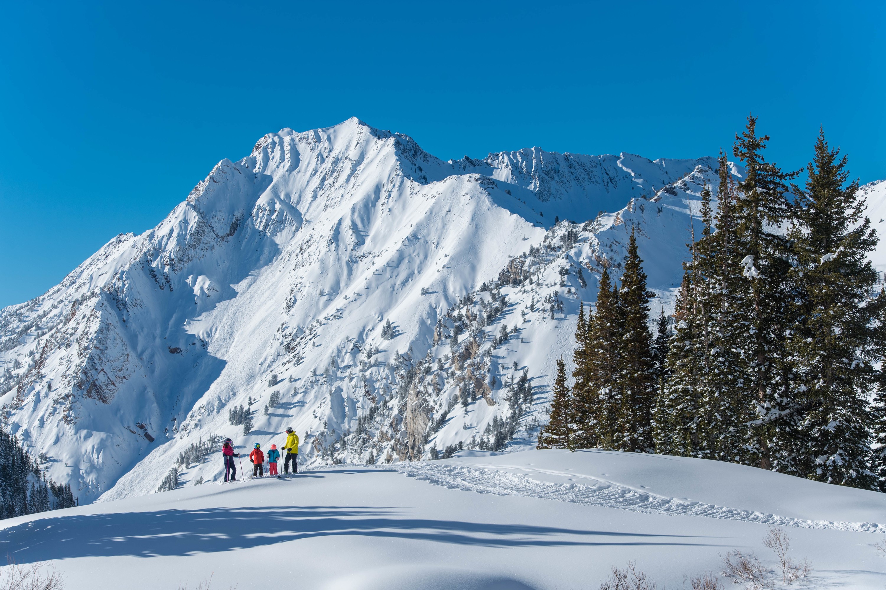 Alta Ski Area [Skiing, Lodging, Maps]  Visit Utah