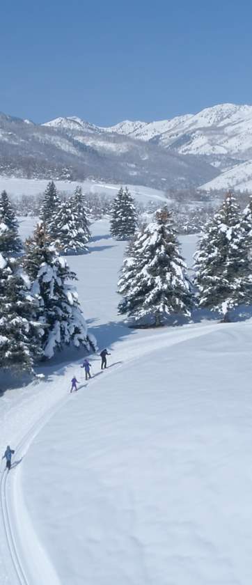 Wasatch-Mountain-State-Park_Cross-Country-Skiing_Utah-State-Parks