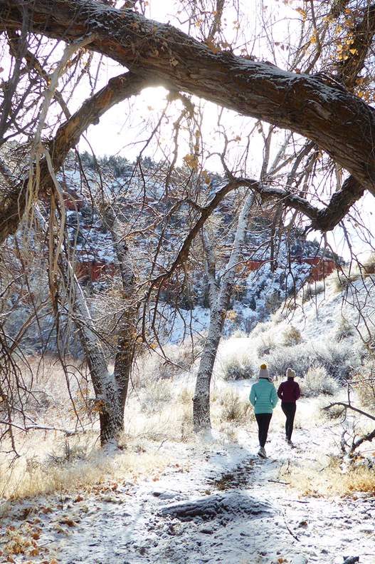 Winter Hiking Guide: Prepping for Chilly Adventures - Southern