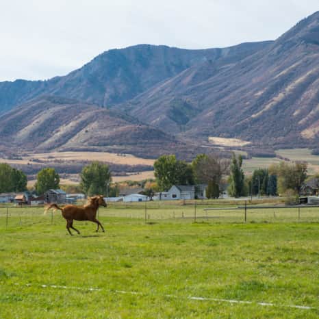 Cache Valley’s countryside.