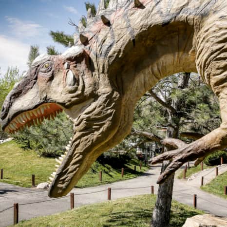 Ogden's George S Eccles Dinosaur Park