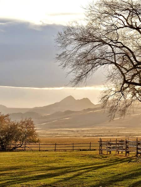 Grass fields with mountains in the backdrop at Antelope Island.