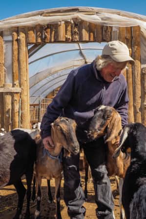 A man standing in front of a green house made of small wooden logs, leaning down and petting goats.