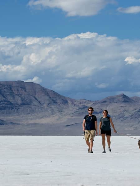 A man and woman walking their dog across a field of naturally occurring salt on the ground.