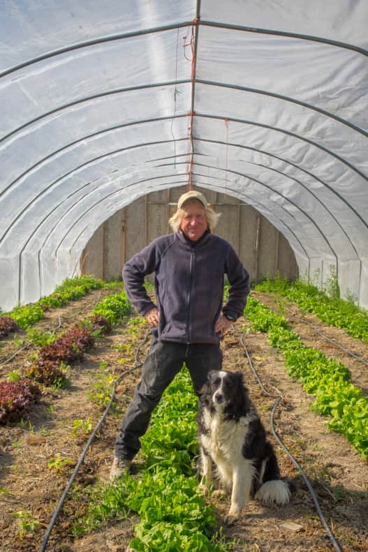 web2000_mesafarmmarket_larryprice_4278191