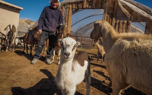 web2000_mesafarmmarket_larryprice_4278239