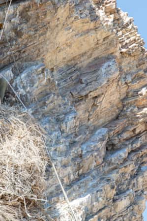 A man rappelling down a mountain, attending to a large bird's nest.