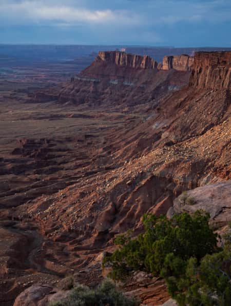 A desert landscape featuring large cliff faces.