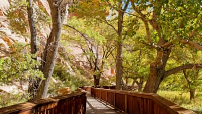 The trail to the Petroglyphs Panels, located off Utah Highway 24 near the historic pioneer settlement of Fruita, begins on a firm, crushed rock surface, leading to a boardwalk platform.