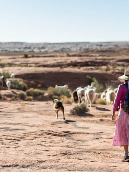 Woman walking outside with her dog on a hilly red rock landscape, herding a group of sheep.
