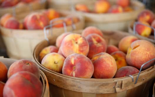 While an abundance of fruit is grown in Brigham City, none are as famous as the peaches.