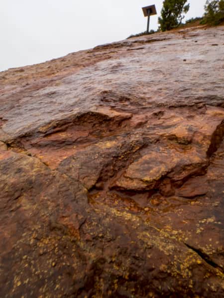 Steep slickrock at Red Fleet State Park, marked with prehistoric tracks.