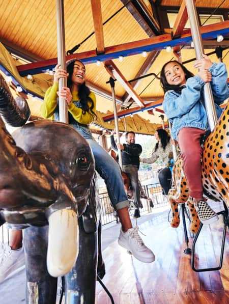 Two children riding horses on a carousel at the Hoogle Zoo.